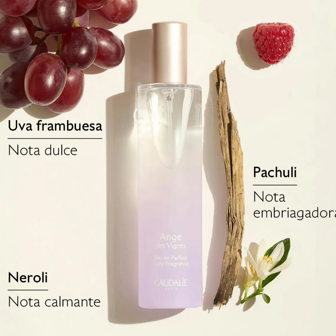 Agua Fresca Ange des Vignes