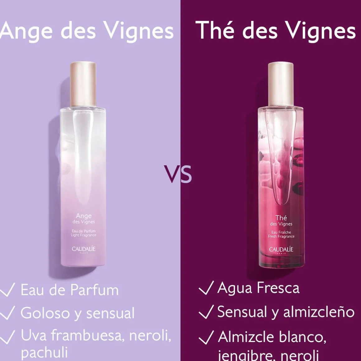 Agua Fresca Ange des Vignes
