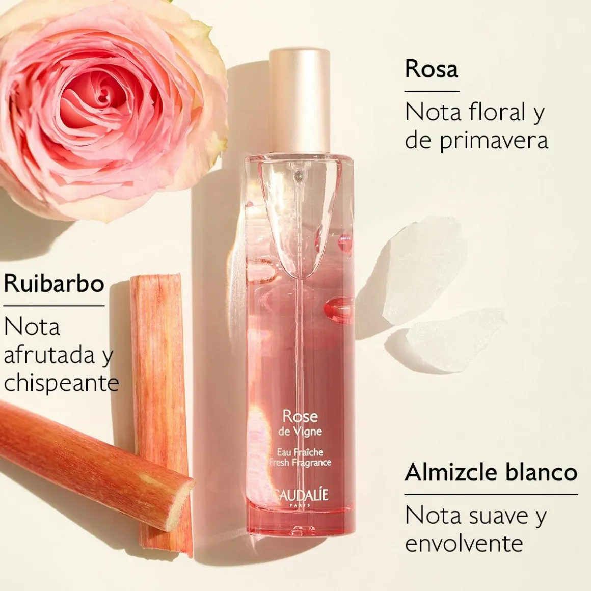 Agua Fresca Rose de Vigne