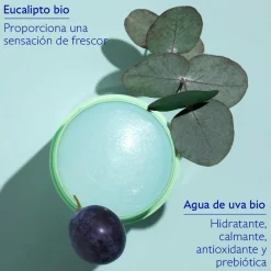 Desodorante Stick Natural Vinofresh