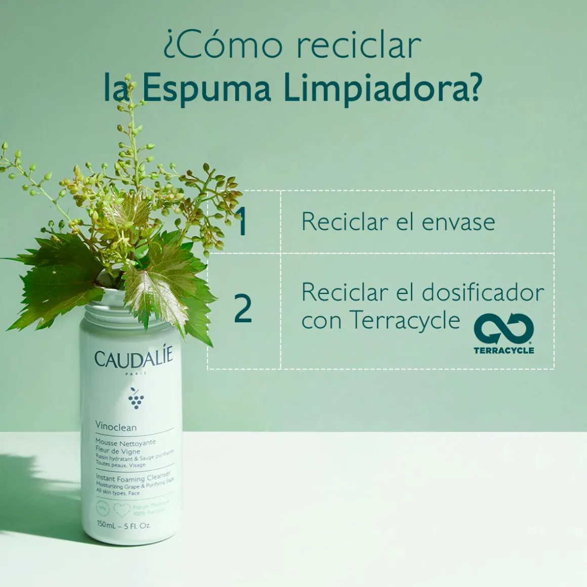 Espuma Limpiadora Fleur de Vigne con Camomila - 50ml