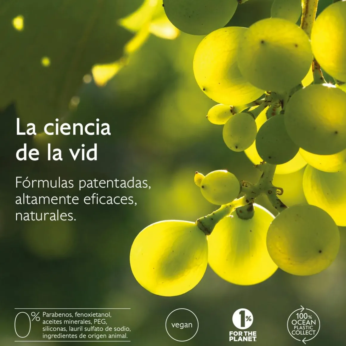 La Crema con Patente Longevidad + Filler Redensificante Natural - Recarga