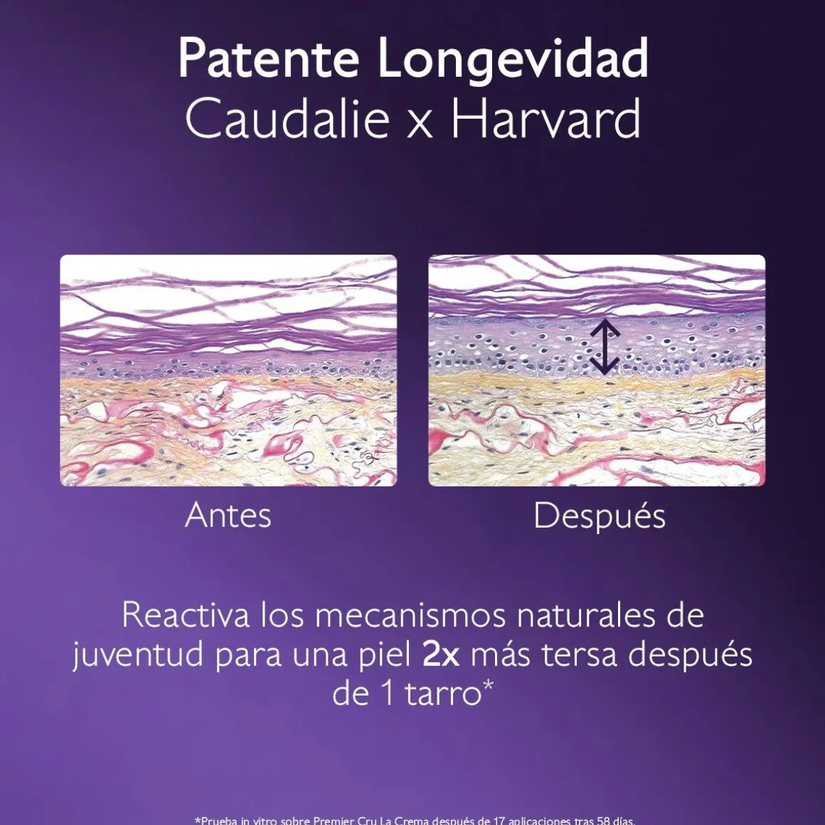 La Crema con Patente Longevidad + Filler Redensificante Natural - Recarga
